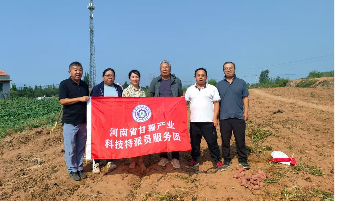 科技特派员赋能全产业链 驱动河南农业高质量升级