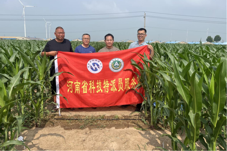 科技下沉 筑牢河南农业抗灾保产防线