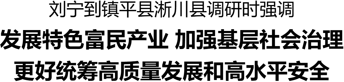 刘宁到镇平县淅川县调研