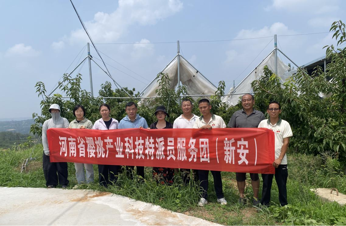 从课堂到田间 河南省科技特派员以培训激活产业发展新动能