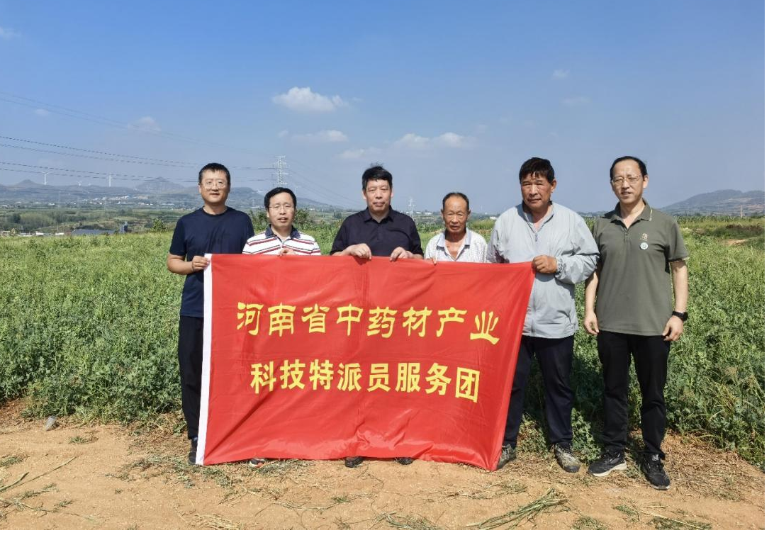 科技下沉 筑牢河南农业抗灾保产防线