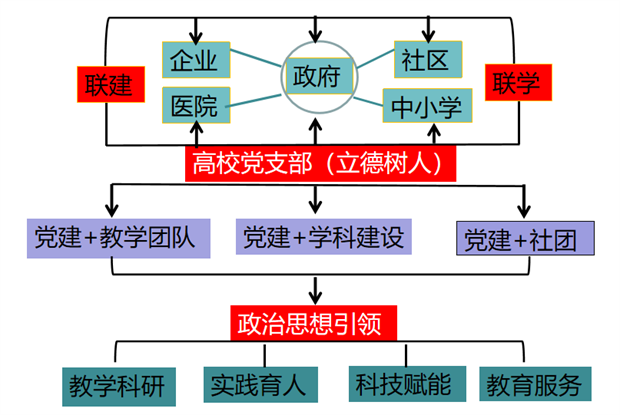 “医心向党，筑梦健康” 郑州健康学院解剖组胚党支部在健康中国建设中践行使命担当
