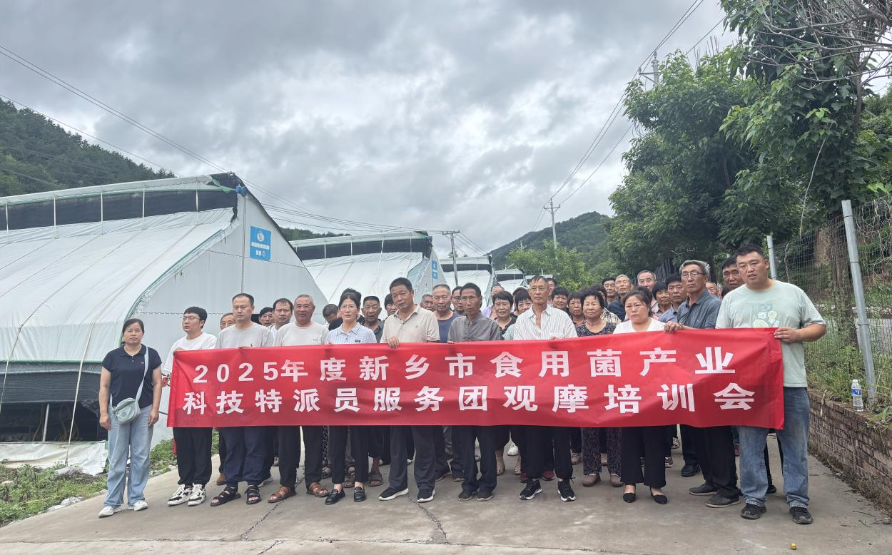 从课堂到田间 河南省科技特派员以培训激活产业发展新动能