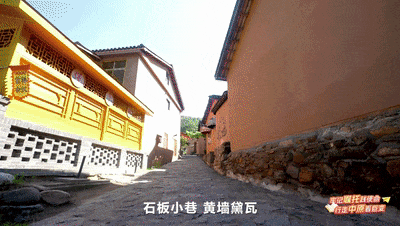 今晚，全省大学生沉浸式感受河南乡村全面振兴的鲜活样本（内附回看方式）