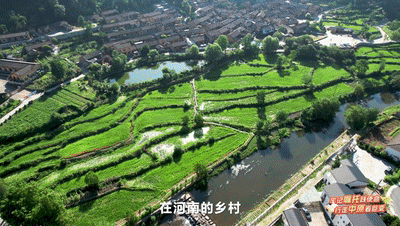 今晚，全省大学生沉浸式感受河南乡村全面振兴的鲜活样本（内附回看方式）