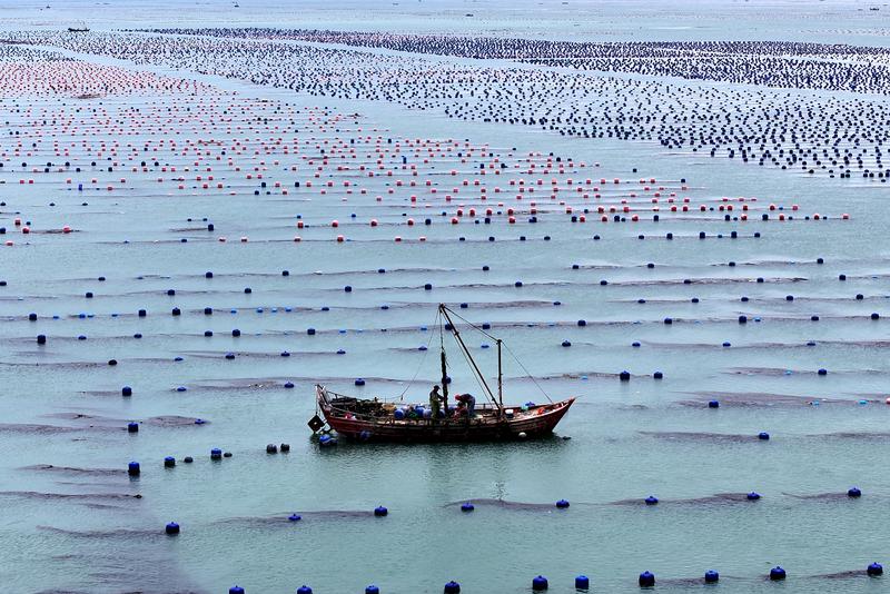 China boasts world's largest, most comprehensive marine industrial system