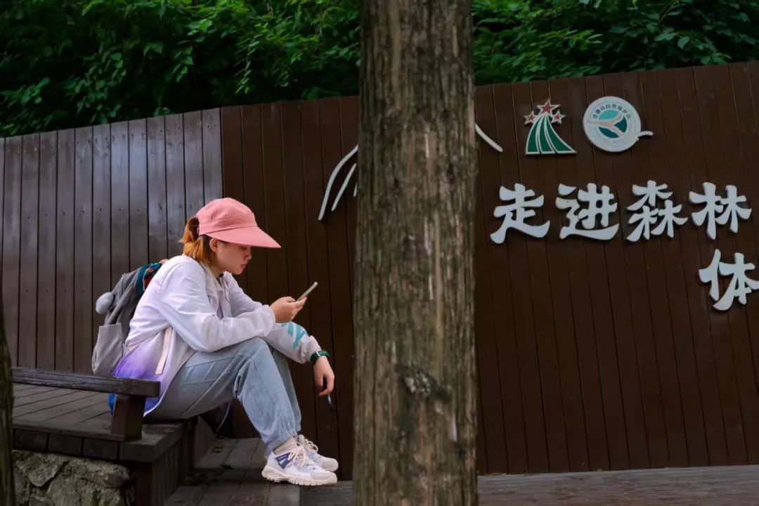 绿染大别山 富泽将军县 ——河南国有新县林场践行“两山”理念纪实