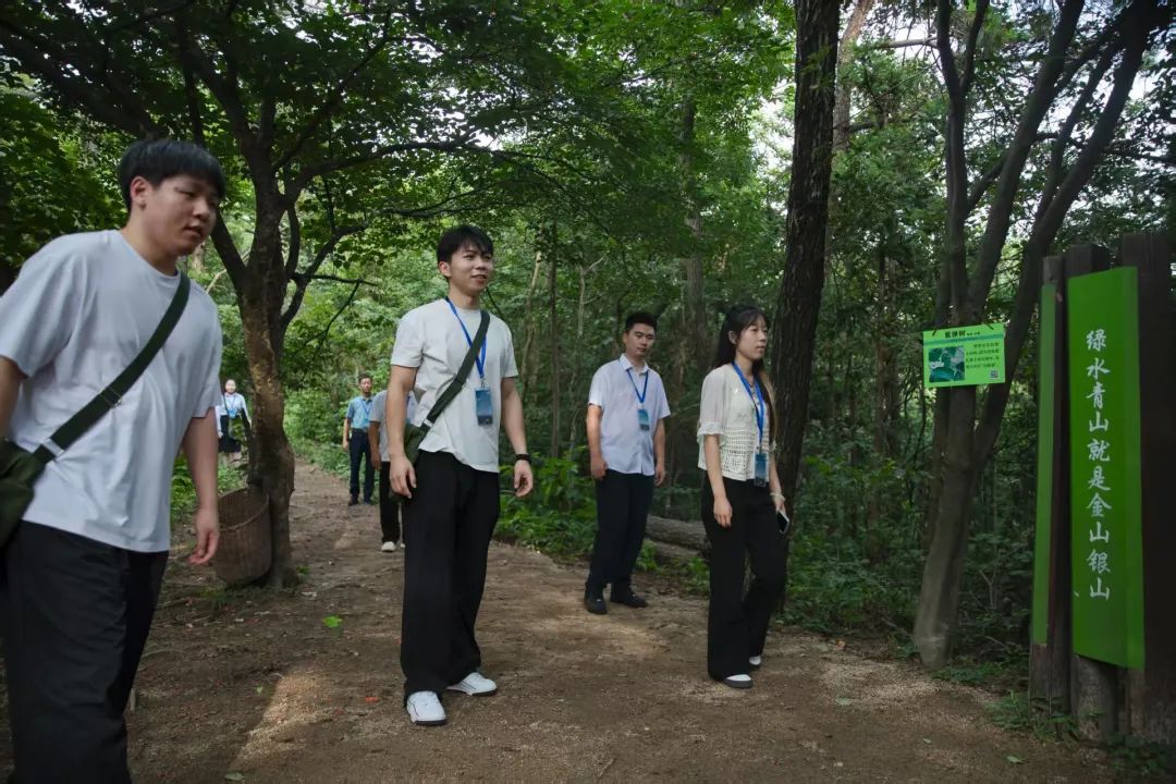 绿染大别山 富泽将军县 ——河南国有新县林场践行“两山”理念纪实