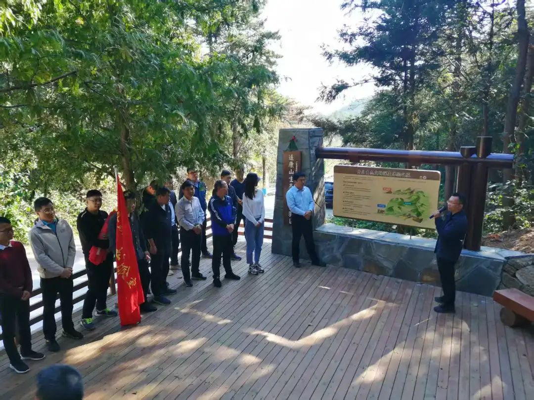 绿染大别山 富泽将军县 ——河南国有新县林场践行“两山”理念纪实