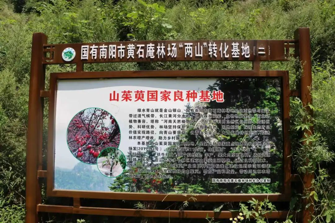 深化林权改革 释放生态红利 走出新时代场兴民富创新发展之路