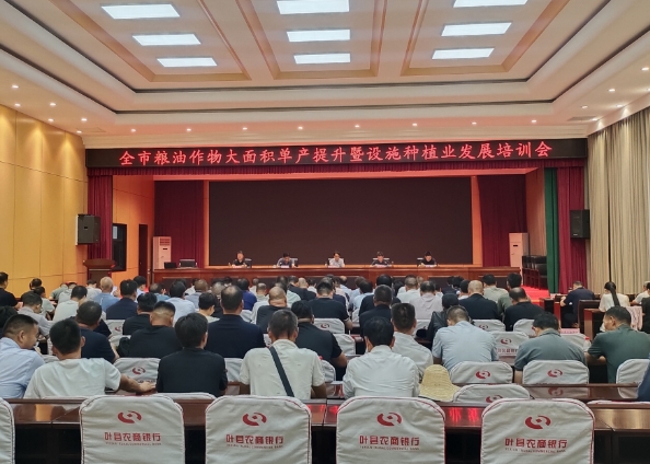 【平顶山市】平顶山市农业农村局召开全市粮油作物大面积单产提升 设施种植业发展暨“一喷多促”观摩培训会