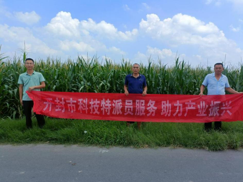 我省科技特派员开展精准技术服务 全力护航秋作物田间管理