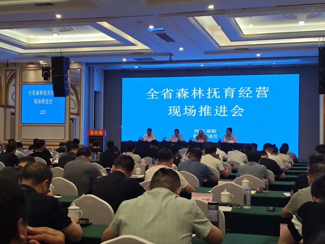 從“綠起來”邁向“好起來” “十四五”期間全省完成森林撫育超1000萬畝