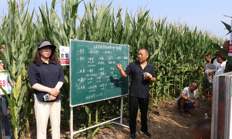 【漯河市】郾城区组织召开玉米密植滴灌精准调控技术培训观摩会