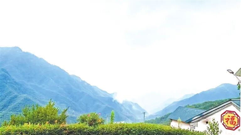 青山不负 绿韵生金 ——看西峡如何叩启“两山”之门