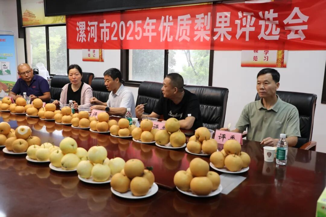 漯河市开展优质梨果鉴评 助推果农增收致富