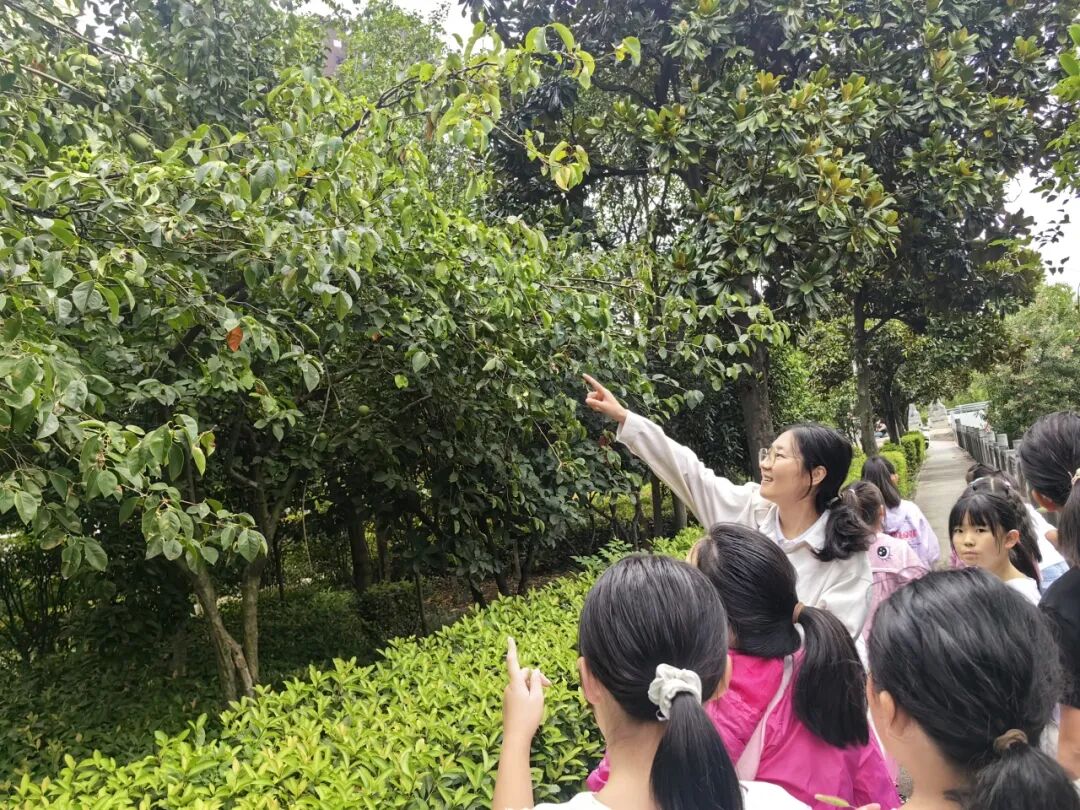 宝天曼携手青少年开启自然探索之旅