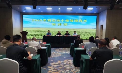【商丘市】商丘市乡村产业发展中心举办2025年小麦管理技术培训班