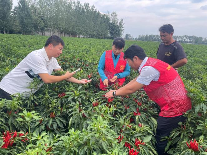 科技特派员“点对点”技术指导激活乡村特色产业新动能