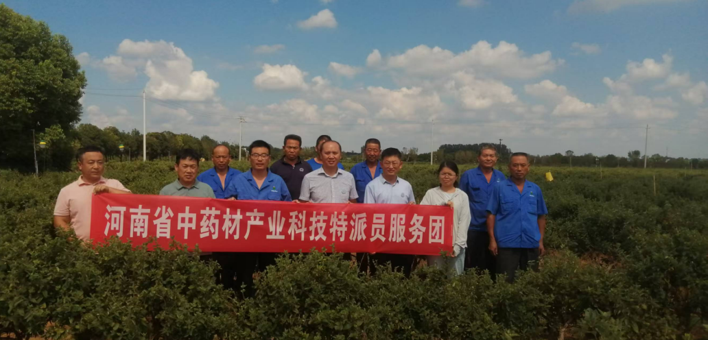 科技特派员“点对点”技术指导激活乡村特色产业新动能
