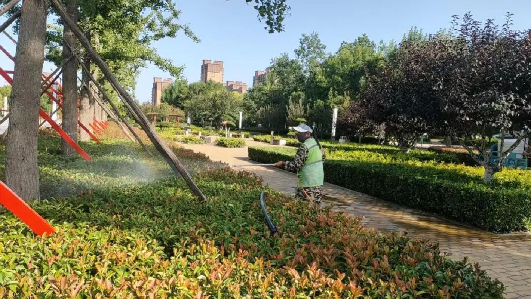 南乐县：全力防治白粉虱 筑牢生态民生“绿色屏障”