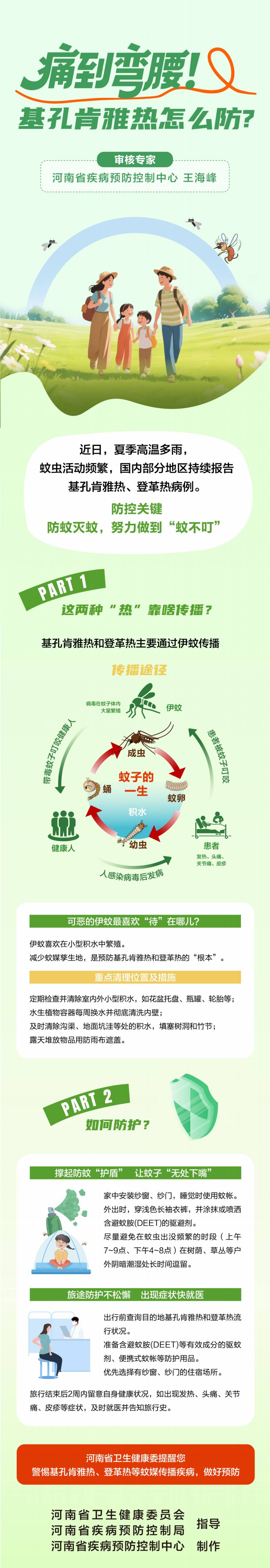 痛到弯腰！基孔肯雅热怎么防？