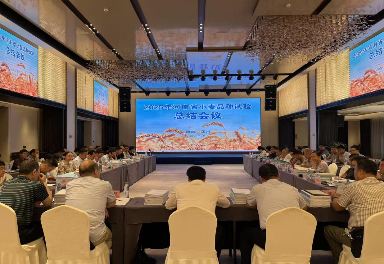 2025年河南省小麦品种试验工作会议在郑州召开