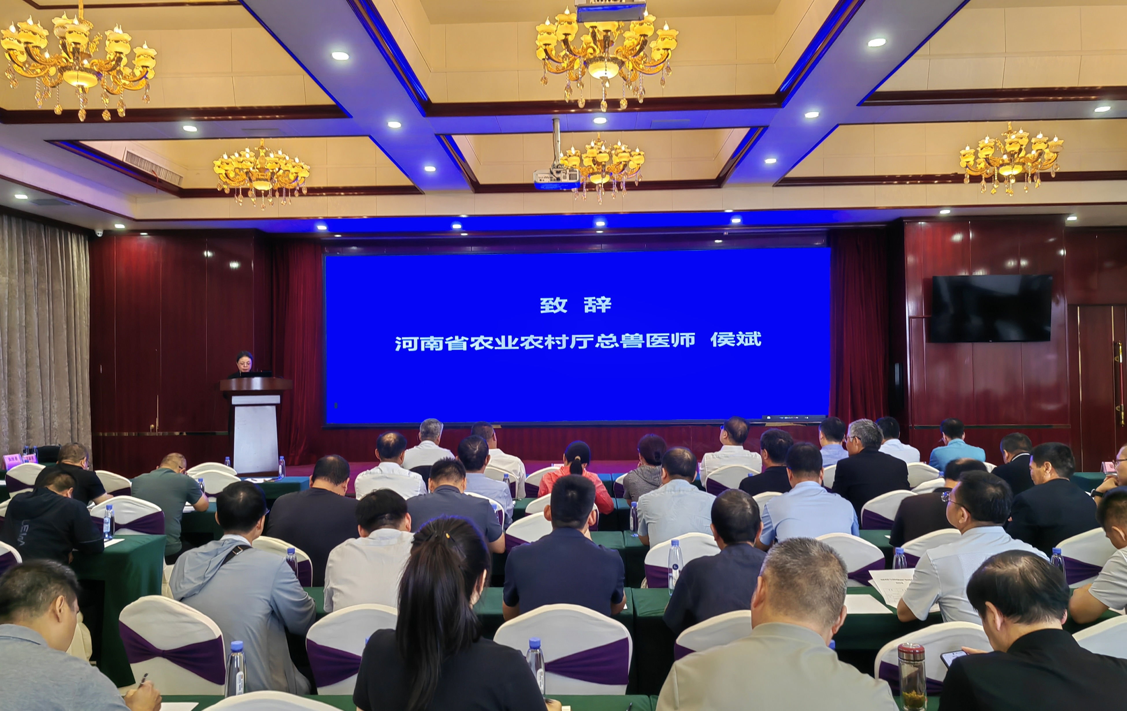 凝聚创新合力 共促种业振兴  第三届河南省畜禽种业发展论坛在郑州成功举办