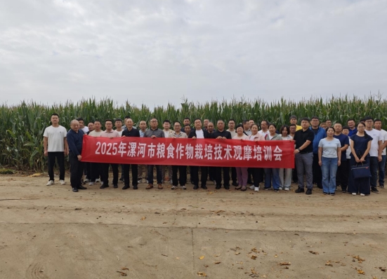 【漯河市】漯河市农业技术推广站召开2025年粮食作物栽培技术观摩培训会
