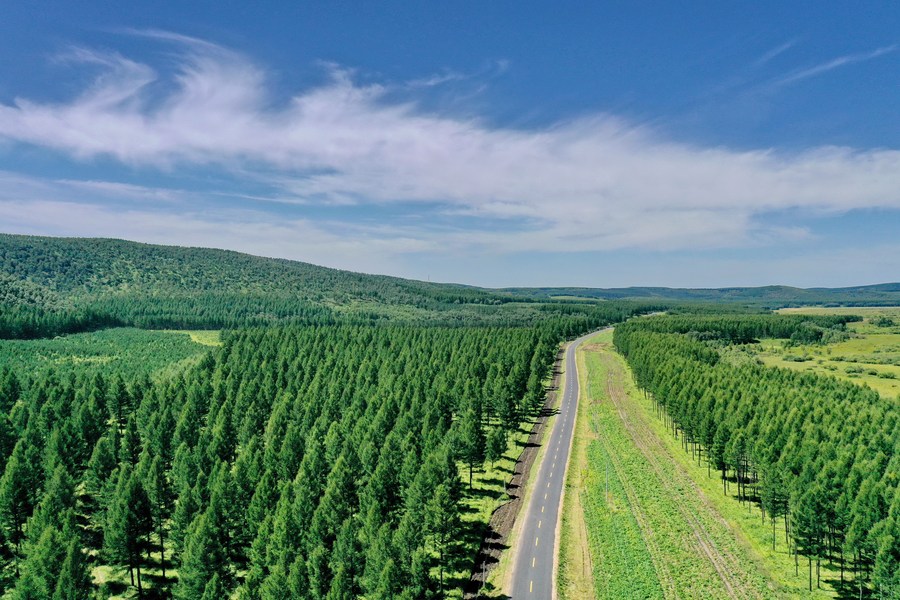 China reports steady progress in ecological, environmental quality