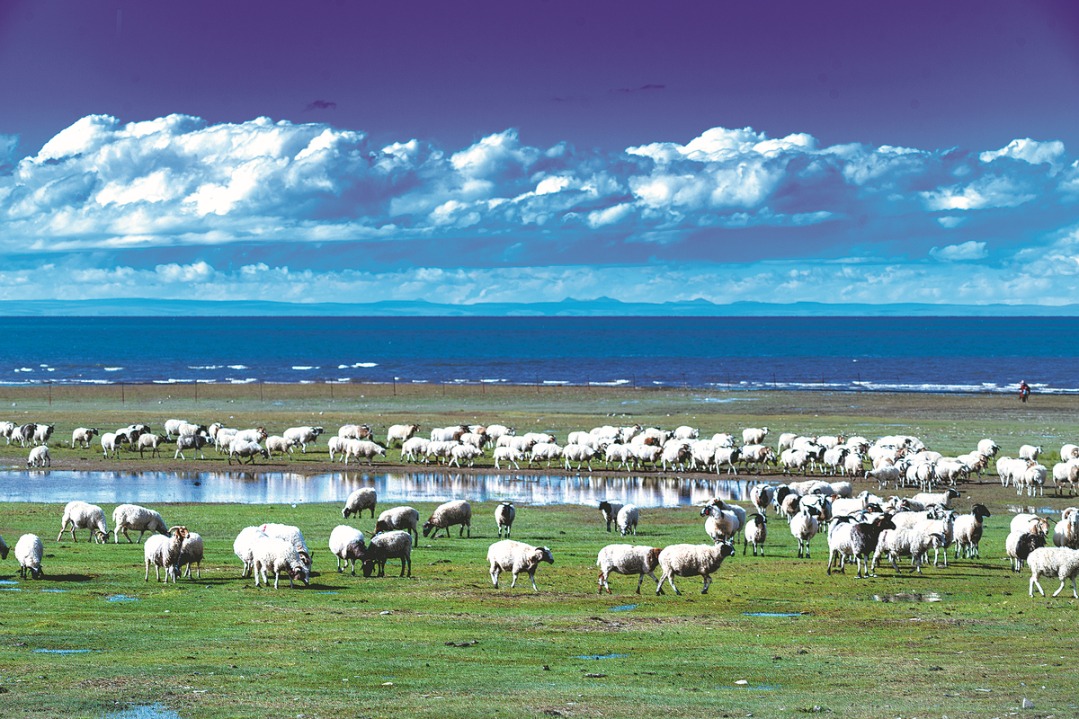 China has built world's largest environment monitoring network, says minister