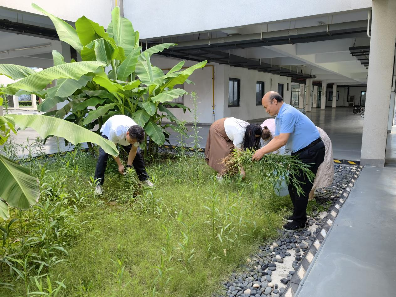 凝心铸魂强党性实干担当作表率——信阳师范大学致学书院直属党支部开展“学纪明廉 力行”系列庆“七一”活动