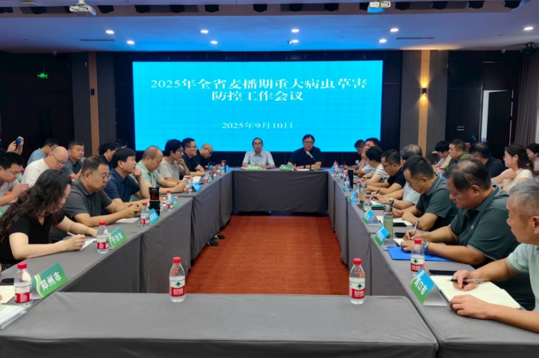 省植保站及早安排部署麦播期重大病虫草害防控工作