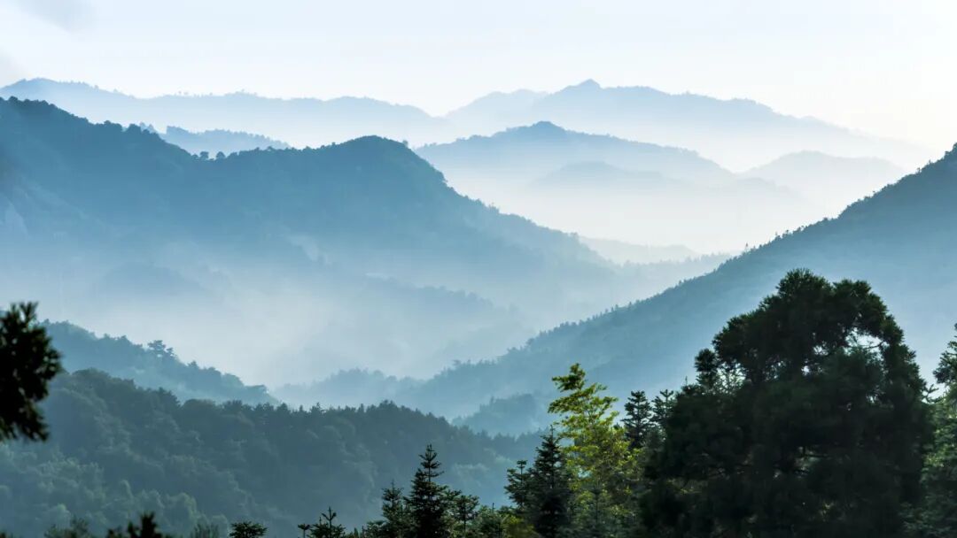第五届世界生物圈保护区大会召开，河南7家保护区组团参会