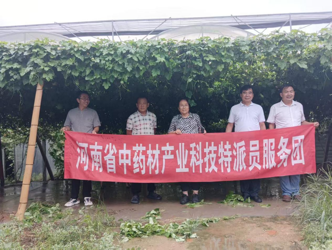 聚焦企业发展堵点，科技特派员上门解难题