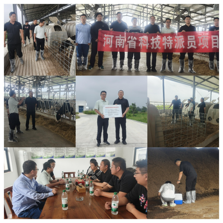 聚焦企业发展堵点，科技特派员上门解难题