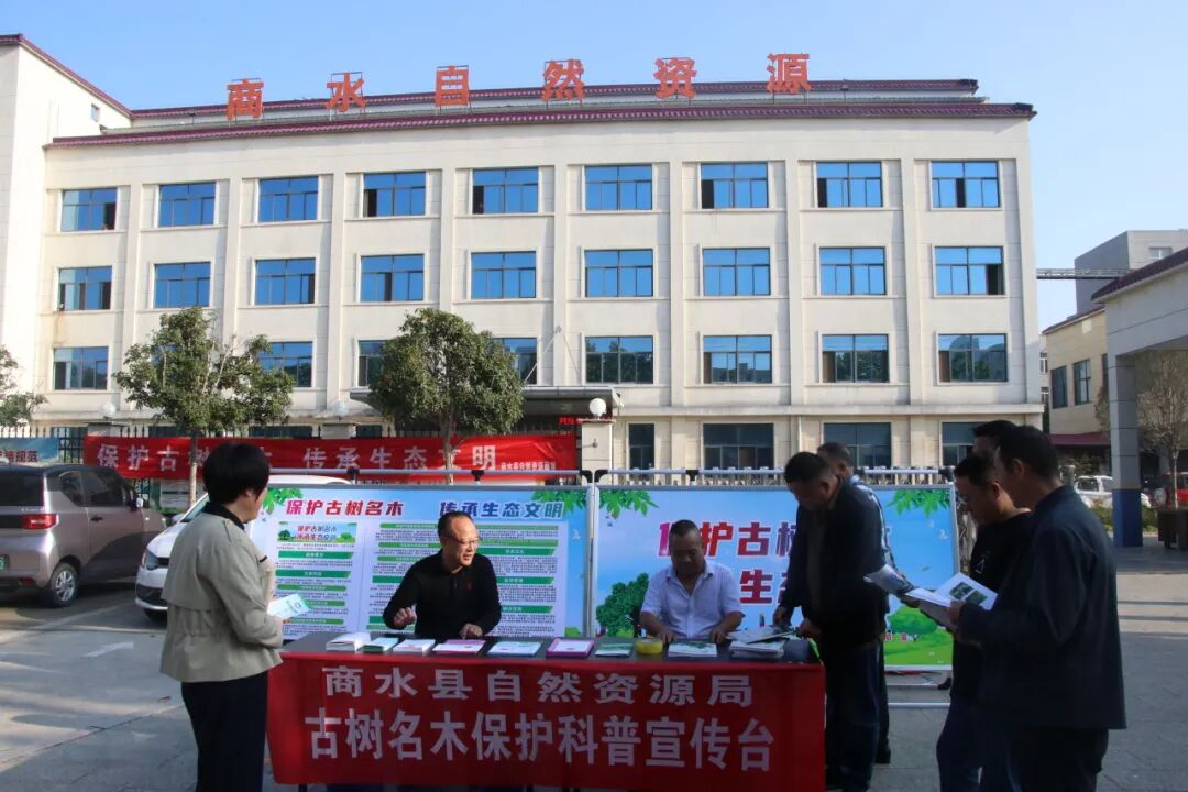 商水县自然资源局开展2025年古树名木保护科普宣传周活动
