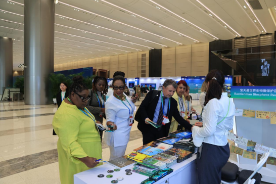 775320941912544 image.png