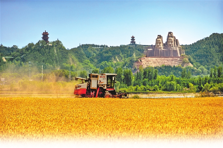 The fertile land of Henan, the core advantage of the Granary of Central China