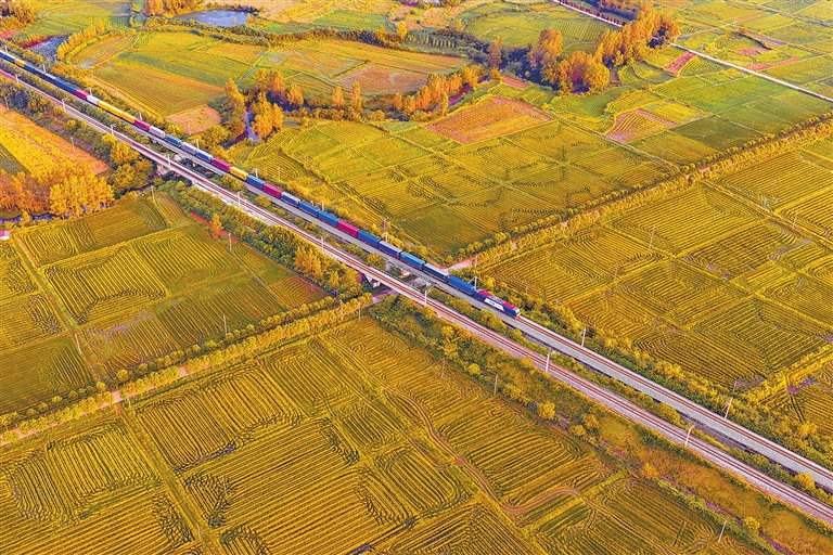 Colorful freight train runs through autumn fields in Shangcheng Colorful freight train runs through autumn fields in Shangcheng