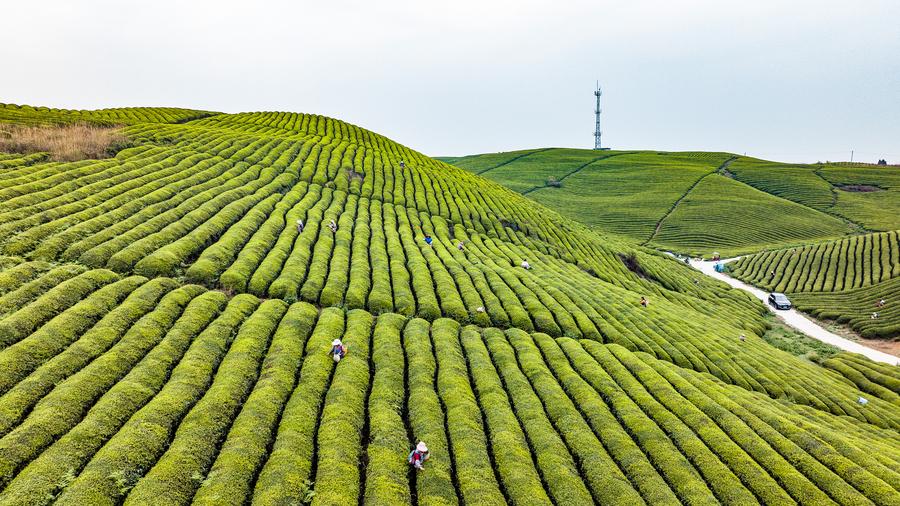 Unlock the charm of Southern Henan and answer how many days to visit Henan