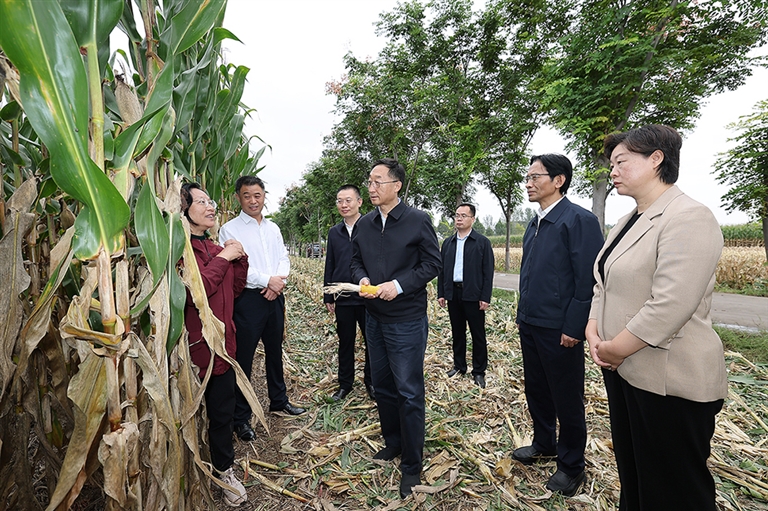 刘宁到开封市部分县区调研检查秋粮生产、项目建设等工作