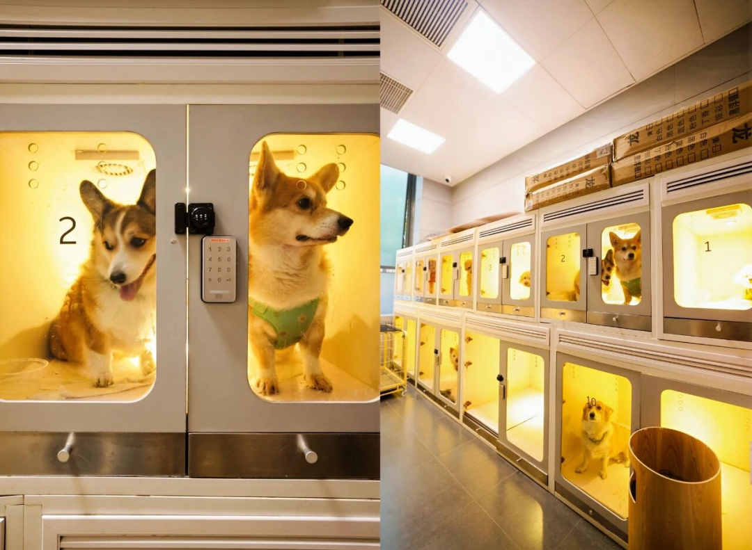 ͼƬ