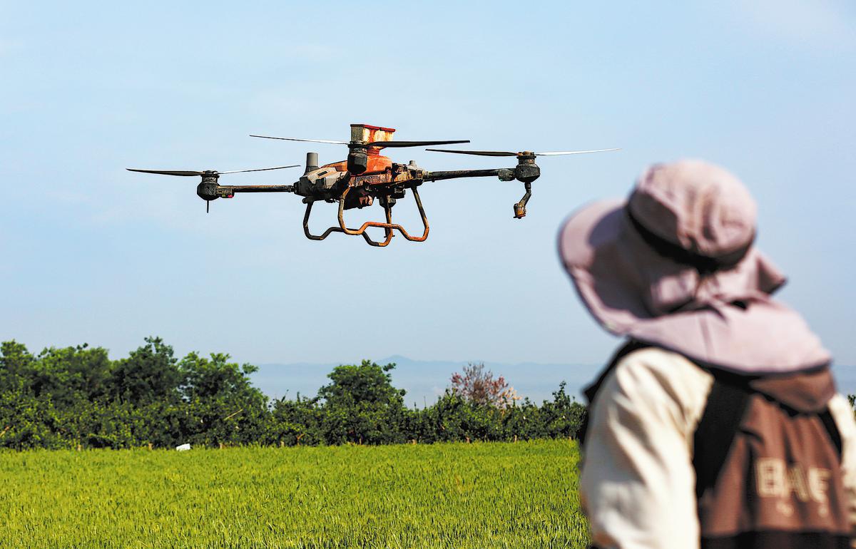 How China contributes to world food security by holding its rice bowl firmly