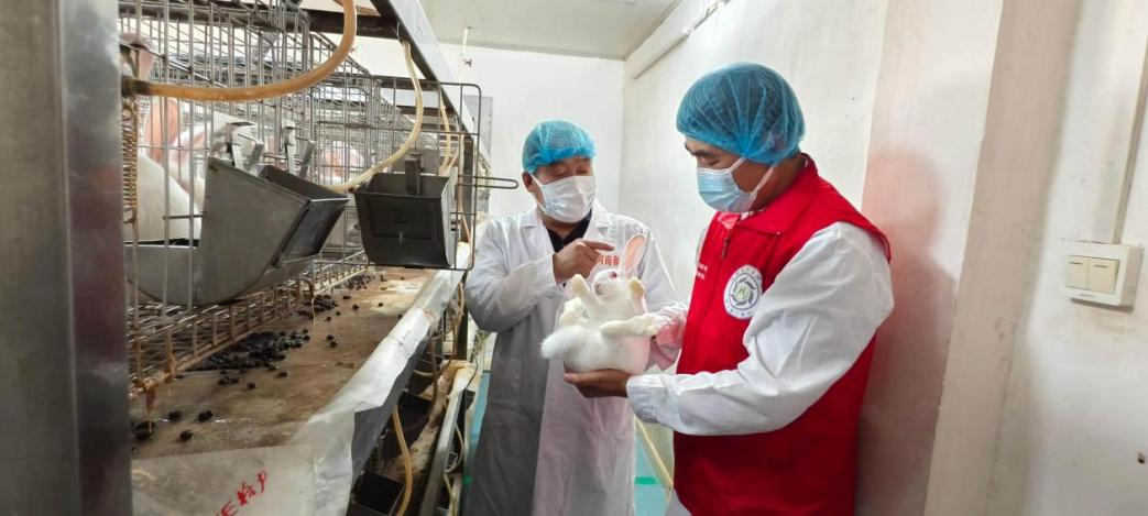 提供精准服务 筑牢养殖业健康防线