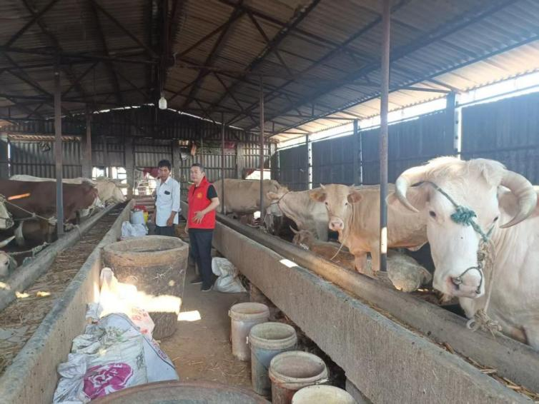 提供精准服务 筑牢养殖业健康防线