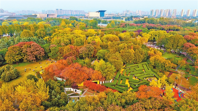 Autumn in full bloom at Zhengzhou Botanical Garden