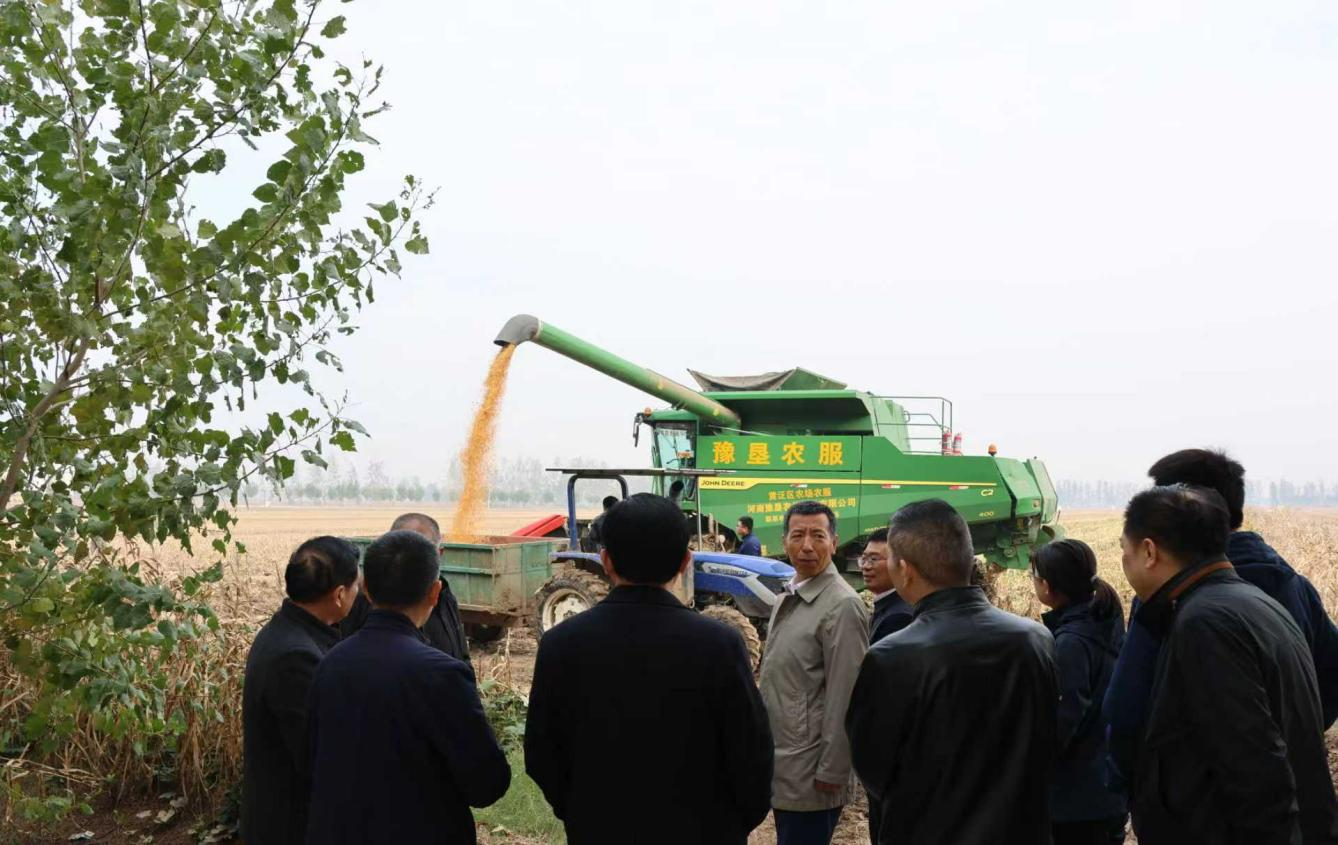 农业农村部调研组到河南调研  农垦秋粮生产和社会化服务工作 农业农村部调研组到河南调研  农垦秋粮生产和社会化服务工作