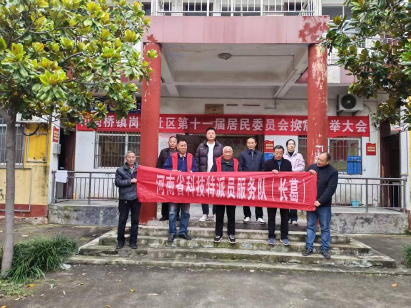 科技特派员技术培训赋能 科学应对小麦晚播