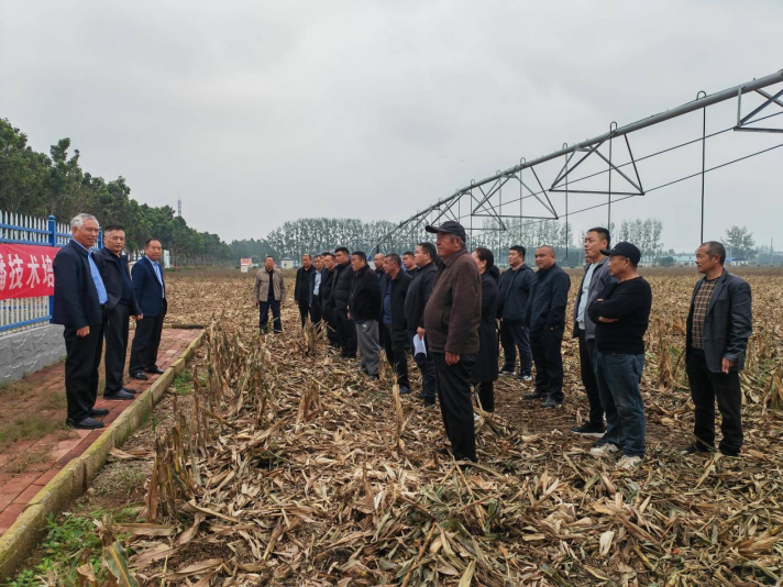 科技特派员技术培训赋能 科学应对小麦晚播